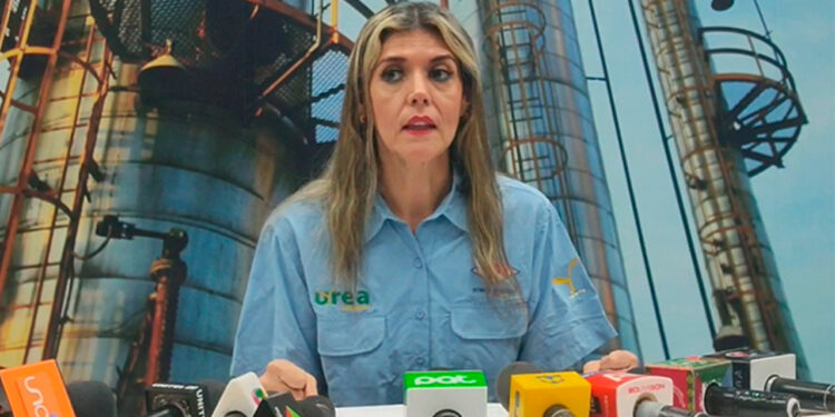 Aprehenden en Santa Cruz a la exgerente de YPFB, Gabriela Delgadillo