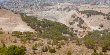 La Unión Europea aprobó sanciones contra organizaciones y líderes vinculados a la violencia de colonos israelíes en Cisjordania