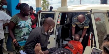 La OMS declaró la emergencia de salud internacional por el brote de ébola en África: al menos 88 muertos por el virus Bundibugyo
