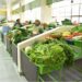 Tarija: Comerciantes reportan mercados vacíos