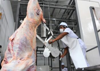 Matadero Municipal de Tarija reporta crecimiento de la producción debido a la sobre oferta de carne del Oriente