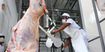 Matadero Municipal de Tarija reporta crecimiento de la producción debido a la sobre oferta de carne del Oriente