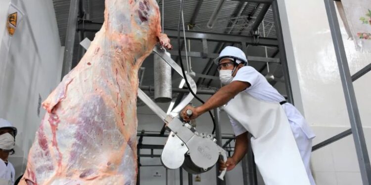 Matadero Municipal de Tarija reporta crecimiento de la producción debido a la sobre oferta de carne del Oriente