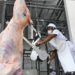 Matadero Municipal de Tarija reporta crecimiento de la producción debido a la sobre oferta de carne del Oriente