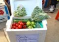 Precios de alimentos se quintuplicaron en La Paz