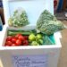 Precios de alimentos se quintuplicaron en La Paz