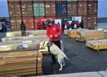 Droga impregnada en madera boliviana provenía “principalmente de Pando”, según fiscal de Chile