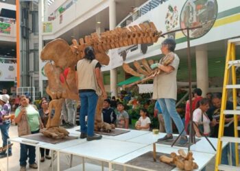 Anuncian ley que declara a Tarija “Capital Paleontológica del Cuaternario” de Sudamérica
