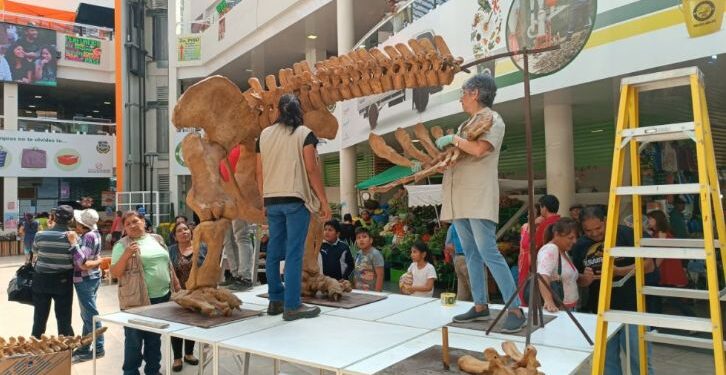 Anuncian ley que declara a Tarija “Capital Paleontológica del Cuaternario” de Sudamérica