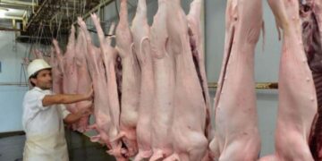 Tarija: Faena de cerdos se duplica en el Matadero