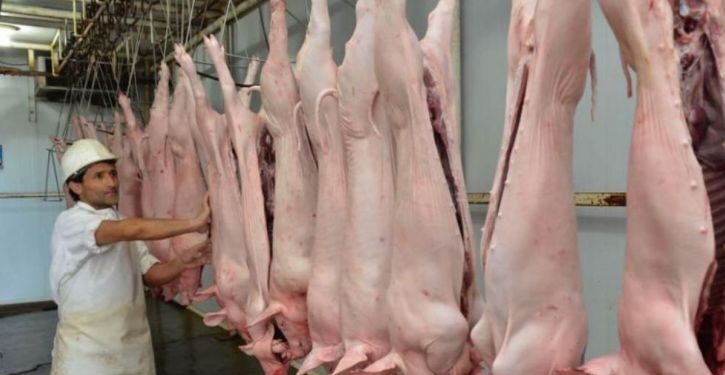 Tarija: Faena de cerdos se duplica en el Matadero