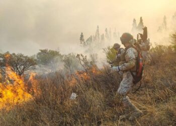 Tarija se adelanta al fuego tras perder 11 mil hectáreas el 2025