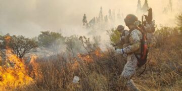 Tarija se adelanta al fuego tras perder 11 mil hectáreas el 2025
