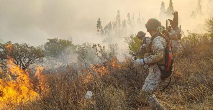 Tarija se adelanta al fuego tras perder 11 mil hectáreas el 2025