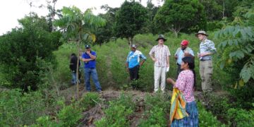 Destacan avance en ley para zona económica en La Paz
