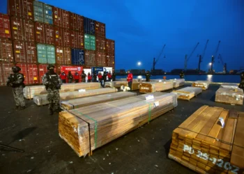 Narcomaderas genera perjuicios económicos y políticos según cámara sectorial