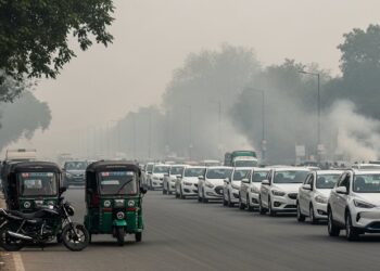 Delhi apuesta por los vehículos eléctricos para combatir la contaminación más grave de la India