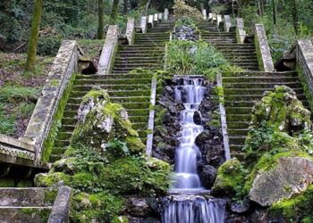 El “bosque que cura” está en Portugal y es el único de su tipo en toda la Península Ibérica