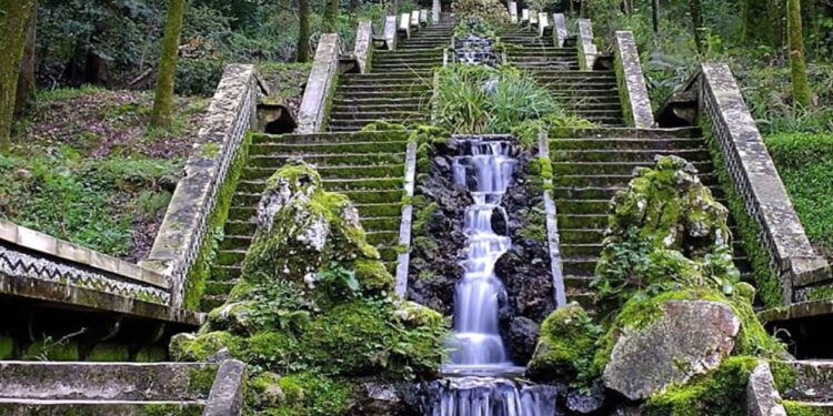 El “bosque que cura” está en Portugal y es el único de su tipo en toda la Península Ibérica