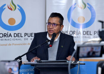 Defensoría dice que incendios forestales son un problema «estructural» y pide prevención