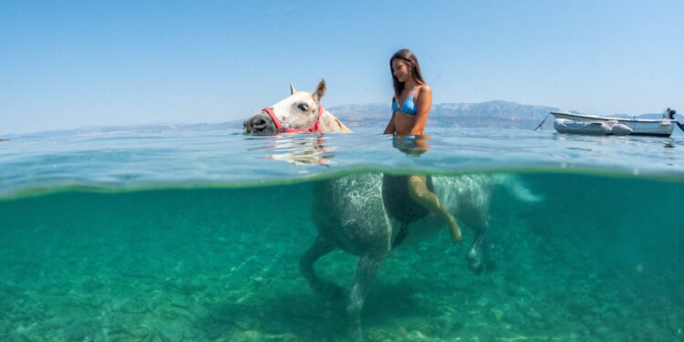 Ola de calor histórica en Europa: así refrescan a los caballos para combatir temperaturas mayores a 40°C