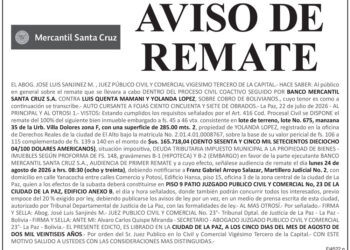 Aviso de Remate contra Luis Quenta Mamani y Yolanda López