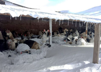 Las nevadas dejan 26.220 familias y 323 comunidades afectadas en el suroeste del país
