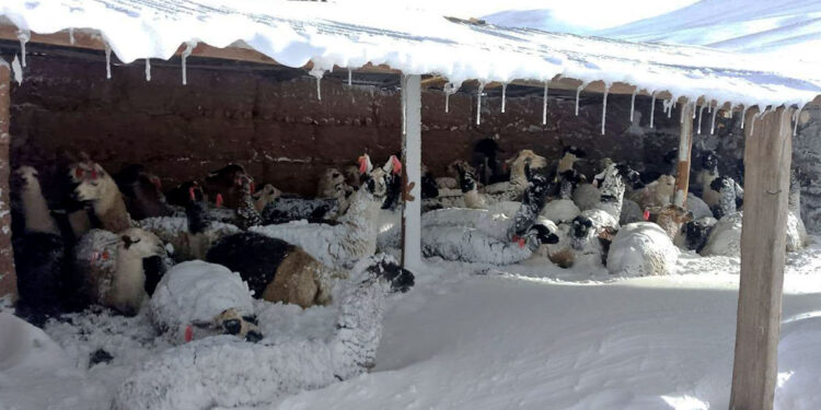 Las nevadas dejan 26.220 familias y 323 comunidades afectadas en el suroeste del país