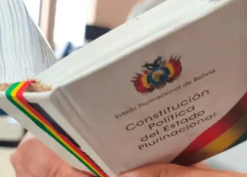 «El voto soberano del pueblo (…) purga cualquier vicio que pudiera haber habido en el pasado», diputado defiende vigencia y reforma ordenada de la Constitución