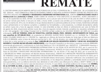 Aviso de Remate contra Construcciones Viales e Hidráulicas S.A. (CONVISA) y otros