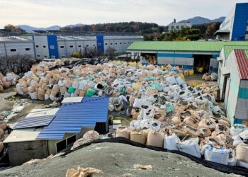 Cómo Corea del Sur redujo casi por completo el desecho de alimentos y basura: qué medidas implementaron