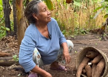 Abandonaron la ciudad hace 30 años para irse a la selva y lograron criar a sus hijos cultivando su propia tierra sin químicos