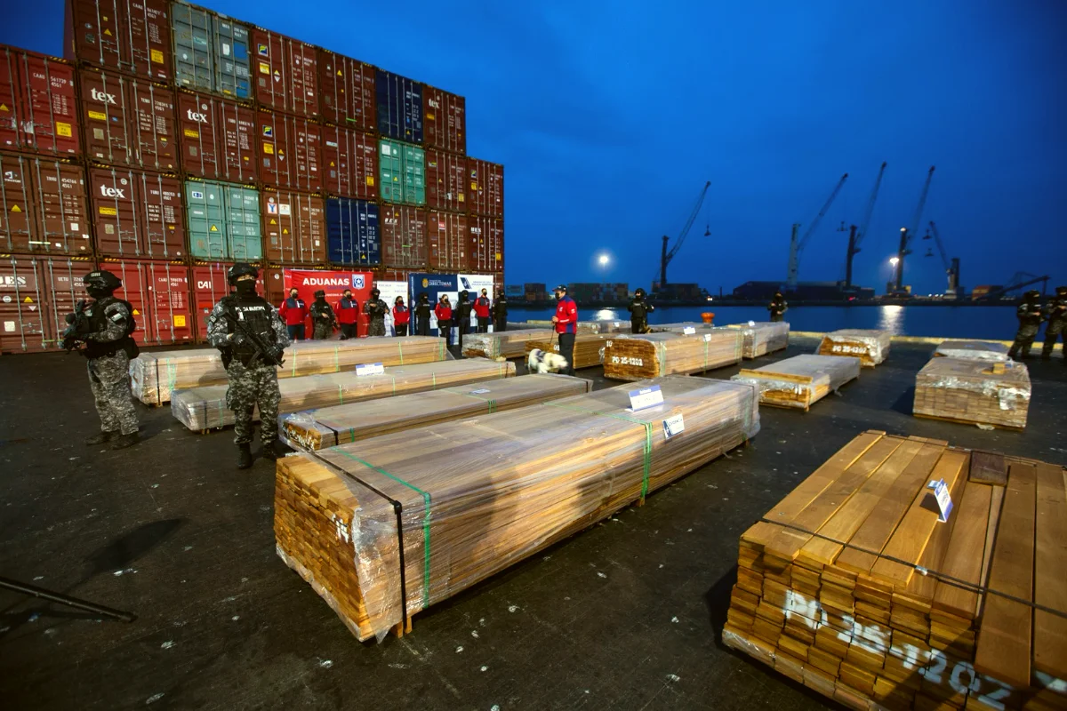 Sector maderero denuncia pérdidas millonarias por destrucción de maderas en Chile