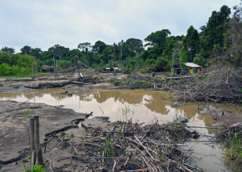 Indígenas de Pando anuncian acciones contra minería ilegal en su territorio