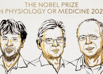 El premio Nobel de Medicina fue otorgado a Karl Deisseroth, Peter Hegemann y Georg por el uso de la luz para estudiar las células y las neuronas