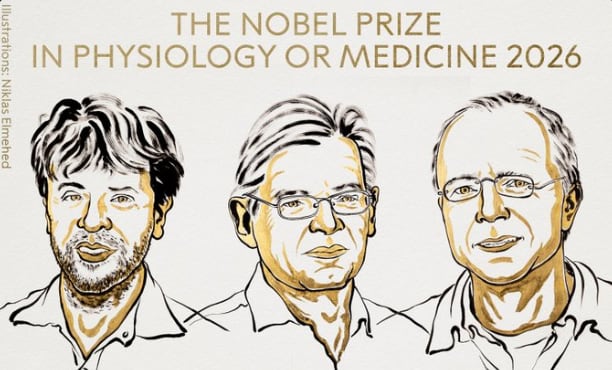 El premio Nobel de Medicina fue otorgado a Karl Deisseroth, Peter Hegemann y Georg por el uso de la luz para estudiar las células y las neuronas
